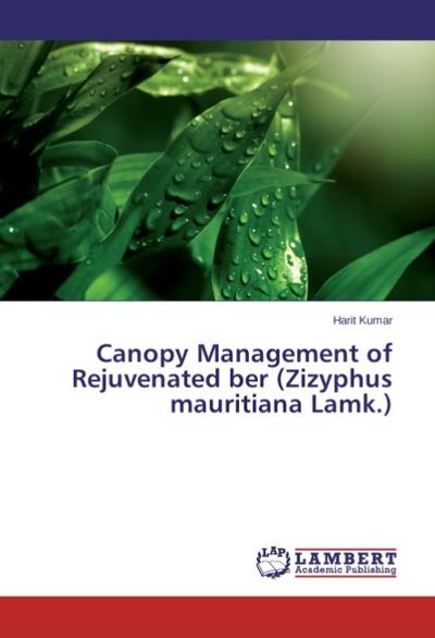 Canopy Management of Rejuvenated ber (Zizyphus mauritiana Lamk.)