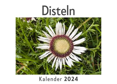 Disteln (Wandkalender 2024, Kalender DIN A4 quer, Monatskalender im Querformat mit Kalendarium, Das perfekte Geschenk)