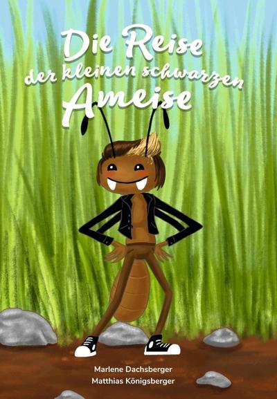 Die Reise der kleinen schwarzen Ameise