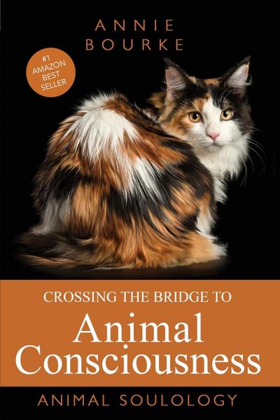 Crossing the Bridge to Animal Consciousness