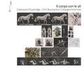 Il corpo con le ali. Eadweard Muybridge, Dirk Baumanns e il disegno futurista
