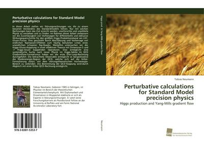 Perturbative calculations for Standard Model precision physics