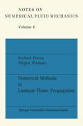 Numerical Methods in Laminar Flame Propagation