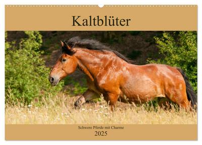 Kaltblüter - Schwere Pferde mit Charme (Wandkalender 2025 DIN A2 quer), CALVENDO Monatskalender