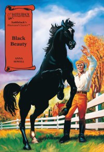 Black Beauty Graphic Novel
