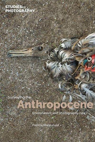 Surveying the Anthropocene