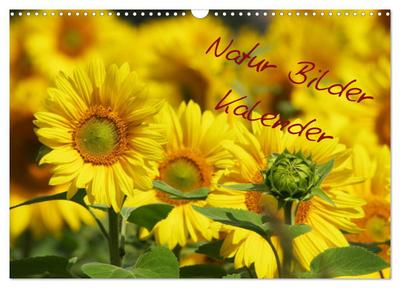 Natur Bilder Kalender (Wandkalender 2025 DIN A3 quer), CALVENDO Monatskalender