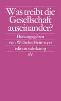 Was treibt die Gesellschaft auseinander?