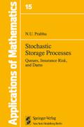 Stochastic Storage Processes