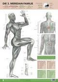 Die drei Meridian-Familien von Mike Mandl im Set
