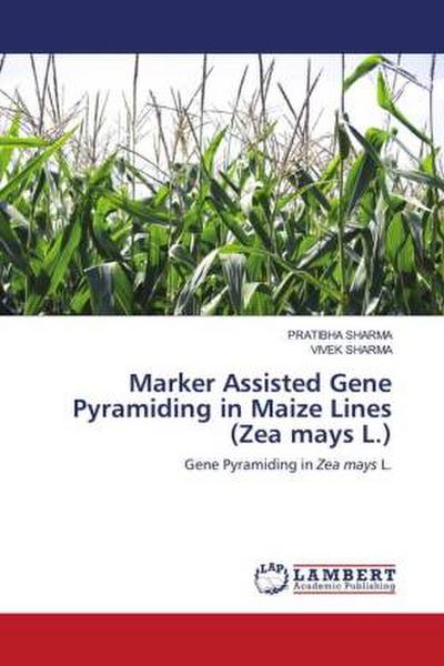 Marker Assisted Gene Pyramiding in Maize Lines (Zea mays L.)