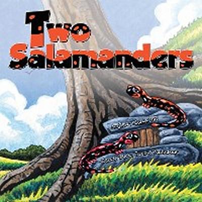 Two Salamanders