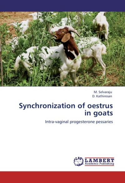 Synchronization of oestrus in goats
