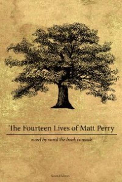 The Fourteen Lives of Matt Perry