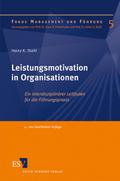 Leistungsmotivation in Organisationen