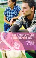 The Cowboy She Couldn’t Forget