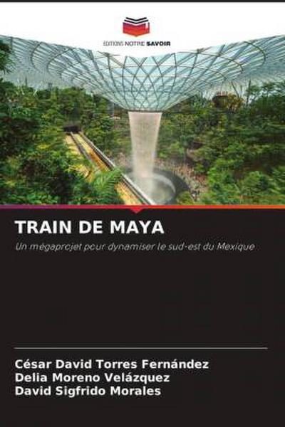 TRAIN DE MAYA