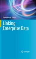 Linking Enterprise Data