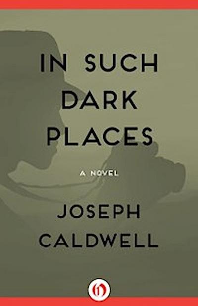 In Such Dark Places