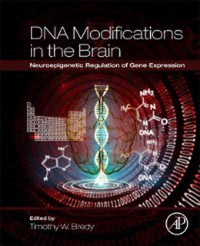 DNA Modifications in the Brain