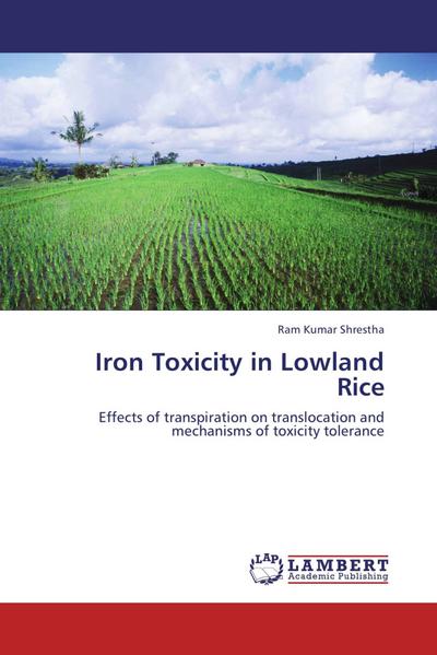 Iron Toxicity in Lowland Rice