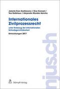 Internationales Zivilprozessrecht - unter Einbezug der internationalen Schiedsgerichtsbarkeit