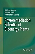 Phytoremediation Potential of Bioenergy Plants
