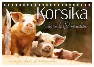 Korsika - süße, wilde Schweinchen (Tischkalender 2026 DIN A5 quer), CALVENDO Monatskalender