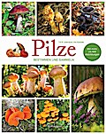 Pilze - Bestimmen und Sammeln: Mit mehr als 400 Abbildungen