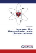 Incoherent Pion Photoproduction on the Deuteron: A