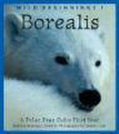 Borealis