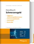 Handbuch Schmerzensgeld