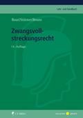 Zwangsvollstreckungsrecht, eBook