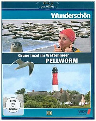 Pellworm - Grüne Insel im Wattenmeer, 1 Blu-ray
