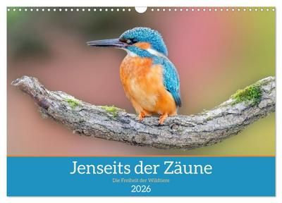 Jenseits der Zäune (Wandkalender 2026 DIN A3 quer), CALVENDO Monatskalender