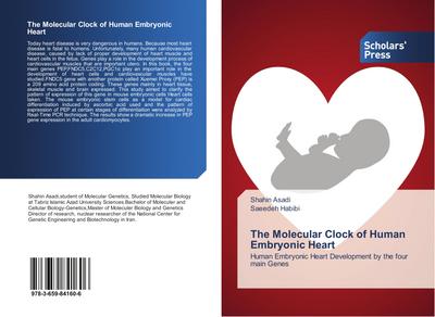 The Molecular Clock of Human Embryonic Heart