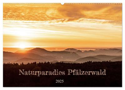 Naturparadies Pfälzerwald (Wandkalender 2025 DIN A2 quer), CALVENDO Monatskalender