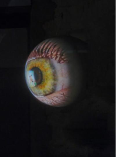 Tony Oursler. SPECULAR