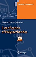 Esterification of Polysaccharides