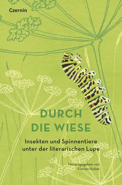 Durch die Wiese