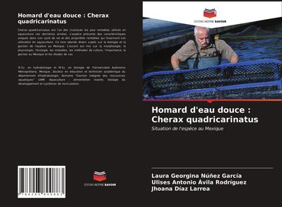 Homard d’eau douce : Cherax quadricarinatus