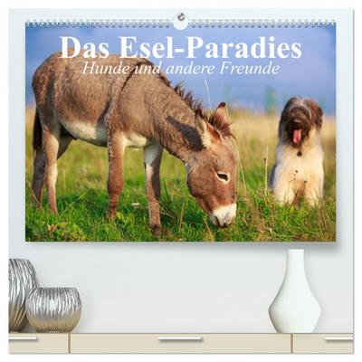 Das Esel-Paradies - Hunde und andere Feunde (hochwertiger Premium Wandkalender 2024 DIN A2 quer), Kunstdruck in Hochglanz