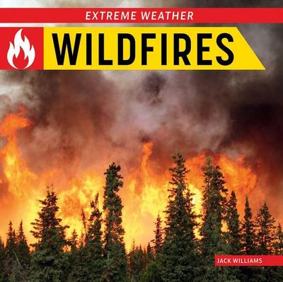 Wildfires