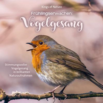 Frühlingserwachen: Vogelgesang