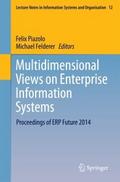 Multidimensional Views on Enterprise Information S