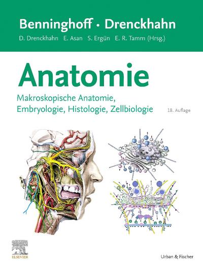Benninghoff/Drenckhahn, Anatomie