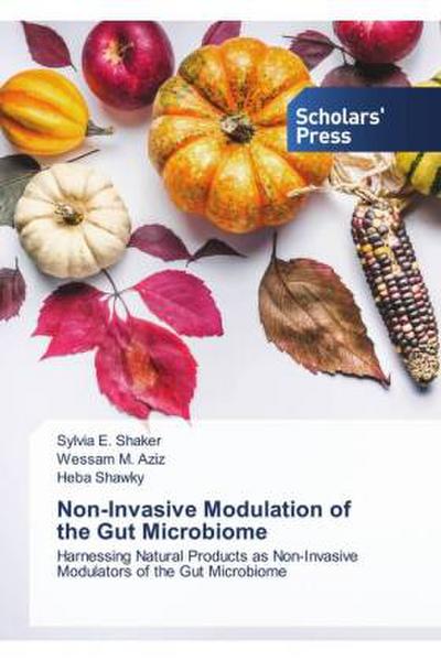 Non-Invasive Modulation of the Gut Microbiome