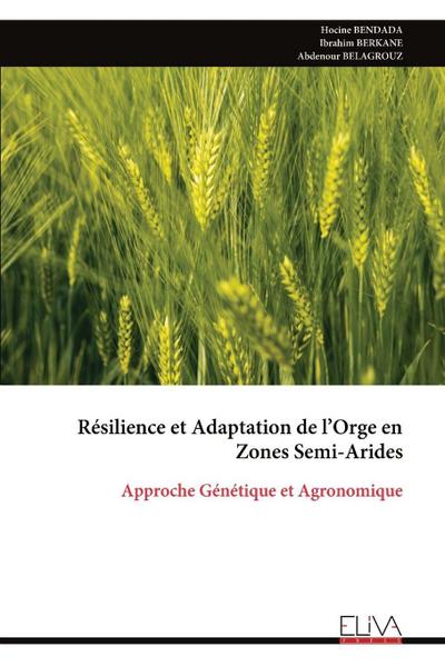 Résilience et Adaptation de l’Orge en Zones Semi-Arides