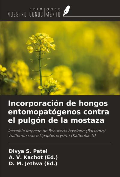Incorporación de hongos entomopatógenos contra el pulgón de la mostaza