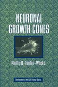 Neuronal Growth Cones